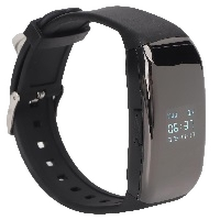 Voice recorder watch